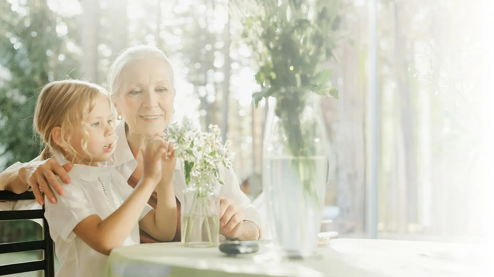 Auth Background Desktop